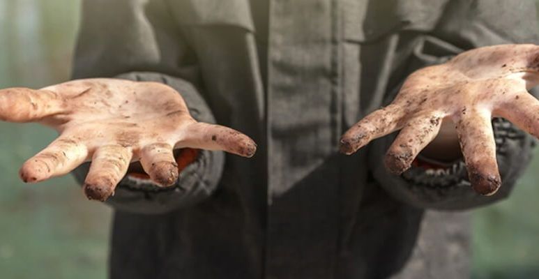 Owsica to choroba pasożytnicza przewodu pokarmowego.