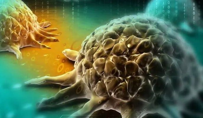 Grafika przedstawiająca wirus RSV