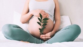 Test Panorama + panel mikrodelecji