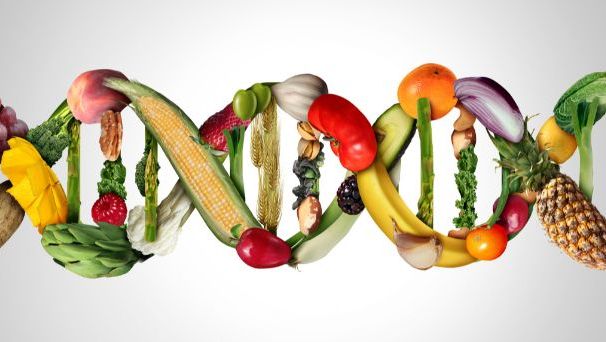 Pakiet nutrigenetyczny iGenesis Completo 9