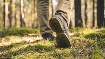 Pakiet szczepień przeciwko kleszczowemu zapaleniu mózgu (KZM) dla dorosłych - Sposób na kleszcze z kwalifikacją do szczepienia