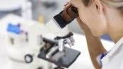 Pakiet Laboratoryjny Sportowiec