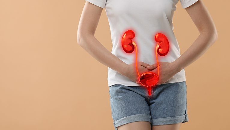 Pakiet badań – infekcje układu moczowego