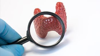 Pakiet tarczycowy - rozszerzony