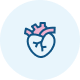 Badanie serca - Serce pod kontrolą